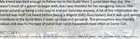 My friend was kind enough to follow me to the Guild Wars 2 panel later that day. She wasn’t much of a gamer to begin with, but I was thankful for her easygoing nature. The panel wound up being a nice way to end our Saturday anyway. A lot of the information de-livered was stuff I’ve heard before (being a diligent GW2 Guru lurker), but it was cool seeing members of the Guild Wars 2 team up close and personal. The atmosphere was friendly, casual and exactly the type of panel that I wish happened more often at Comic Con.  sunday- Sunday, the event’s crowds started trickling away, li-le by li-le. We decided to take advan